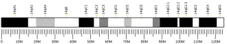 Chromosome 14 (mouse)