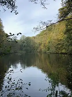 Étang des Canards Sauvages