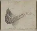 Study for the Virgin's Cloak, c.&nbsp;1510–1515, Windsor Castle, RL 12529.