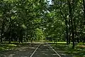 A promenade in Ąžuolynas.