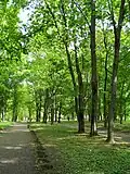 Kochubeivskyi Park Alley