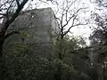 Ruins of the Castle of Klevan