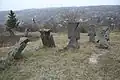 Cossack Cemetery in the forest