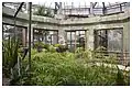 Inside of the glasshouse