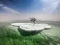 Image 5Dead Tree in Sea of Life is an installation artwork from 2017 by Amiram Dora, a travel guide from the nearby city Arad. The work consists of a tree planted on a salt pile in the Dead Sea. The purpose of the work is to show that as opposed to its common name, the Dead Sea is actually a place of rich tourist activity, healing and relaxation.