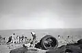 Revadim, February 1947, fencing