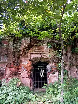 Door