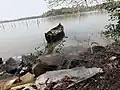 Tirur River