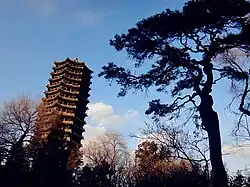 Boya Pagoda