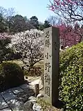 Plum Gardens