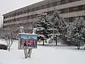 College of Mechanical and Electronic Engineering, Shandong Agricultural University