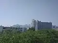 Shandong Agricultural University, Pinhui Building, Siyuan Hall