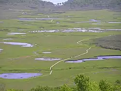 Uryunuma Wetland