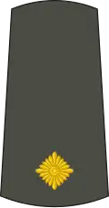 Потпоручник Potporučnik (Serbian Army)[9]