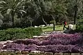 Walking through Metri Park