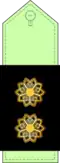 Lieutenant Colonel