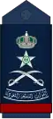 FARIQ