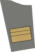 Portuguese Army (Tenente Coronel)