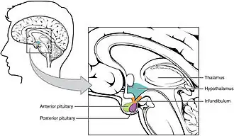 Illustrative diagram