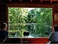 Window by the Pond
