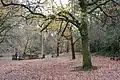 Park in winter