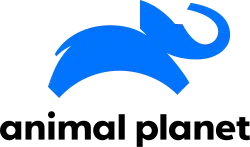 2020–2025