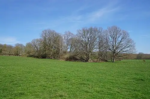 The spoil heap.