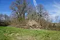 Saint-Georges shaft slag heap.