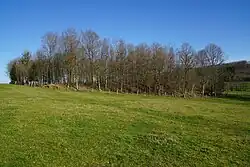 General view of the descenderie slag heap