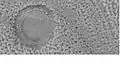 Holes and hollows on crater floor, as seen by HiRISE under HiWIsh program