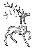 Chapter 292. Os de corde cervi – eyn beyn daz man fyndet in dem hertzen des hirtzen