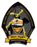 Bravo Company (Black Knights)