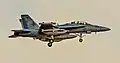 An EA-18G Growler of VAQ-134 landing at Nellis AFB in 2017