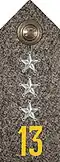 Shoulder mark m/1923 (13 = Dalarna Regiment)