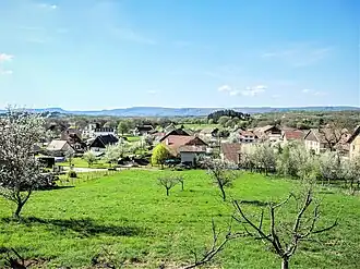 General view