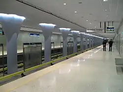 Main platform