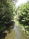 Kedron Brook looking downstream, Kalinga Park, Kalinga (2021)