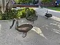 The bronze Black Swans