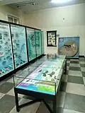 A view of the Paleontology Hall