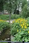 Park Aarrepuisto