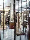 Hall with the plaster casts pending exercises of the UNAM's Faculty of Arts and Design alumni on 12 September 2012