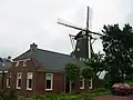 House and wind mill windlust