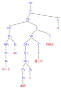 Active voice SOV tree