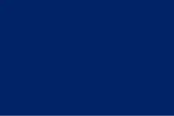 Admiral's Rank flag of Franklin Buchanan, flown from CSS Virginia during the first day of the Battle of Hampton Roads and also flown from the CSS Tennessee during the Battle of Mobile Bay