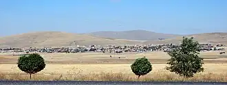Alayhanı