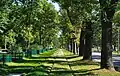 View to the east, from the tram loop "Cichy Kącik"