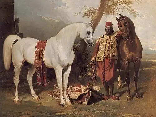 The Mounts of Abd El Kader