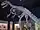 Allosaurus skeleton