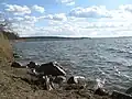 North shore of lake Plauer See