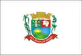 Flag of Alvorada de Minas